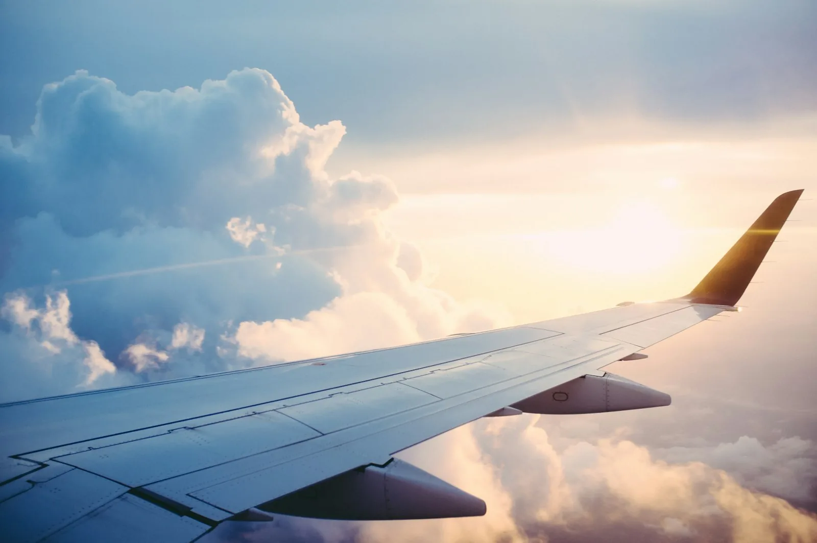 Courier Services Across The Globe